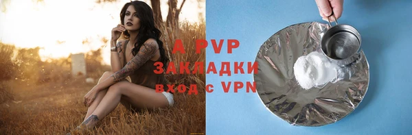 дживик Белокуриха